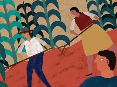 Sembrando Vida en México: ¿la ilusión de la sustitución de cultivos ilícitos?