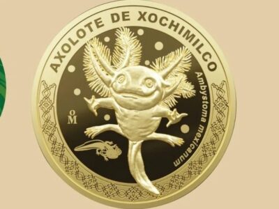 Moneda conmemorativa del ajolote: ¿cuánto cuesta y dónde comprarla?