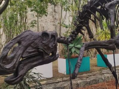 Llega a Oaxaca el “Sabinosaurio”, uno de los más grandes hadrosaurios