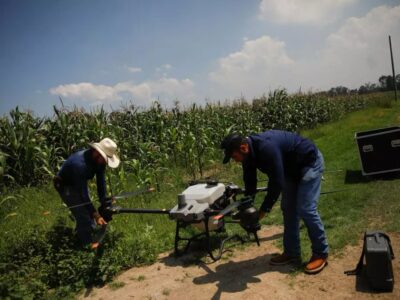 Baja la conectividad en zonas agrícolas de México en medio del cambio climático