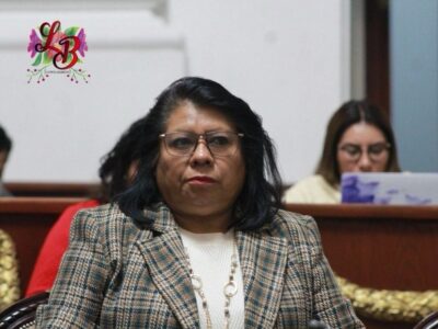 Diputada del PRI, Guadalupe Barrón, obtiene amparo contra orden de captura