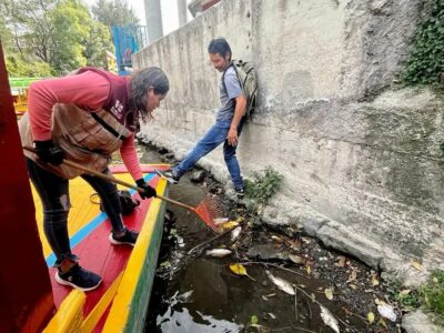 Comenzó la recolección de peces muertos en los canales de Xochimilco