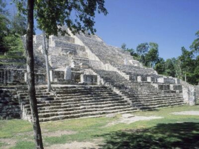 Identifica INAH gran cantidad de bienes inmuebles mayas en Tramos 5, 6 y 7