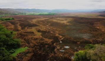 Ciénaga de Tamasopo, SLP, ha perdido al menos mil hectáreas de vegetación tras incendio forestal