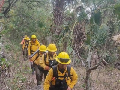 Control del 60 por ciento en incendio forestal en sierra San Miguelito de SLP