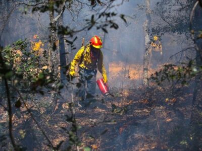 Hay 69 incendios forestales activos en 18 estados: Conafor