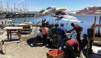 Puestos de mariscos y pesca generan malos olores en Mazatlán