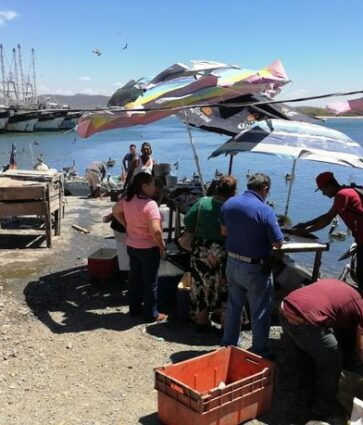 Puestos de mariscos y pesca generan malos olores en Mazatlán