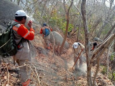 Combaten siete incendios forestales en Chiapas