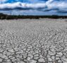 Todos los municipios de Chihuahua padecen sequía: Conagua