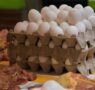Avicultores garantizan abasto de huevo y pollo en Yucatán