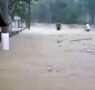 Desalojan a 200 familias tras desbordarse el río Santa Teresa, en Hidalgo¨